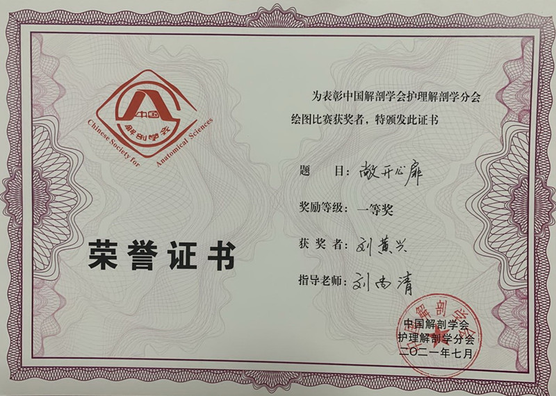 我校医学生参加第三届全国解剖学绘画大赛荣获佳绩