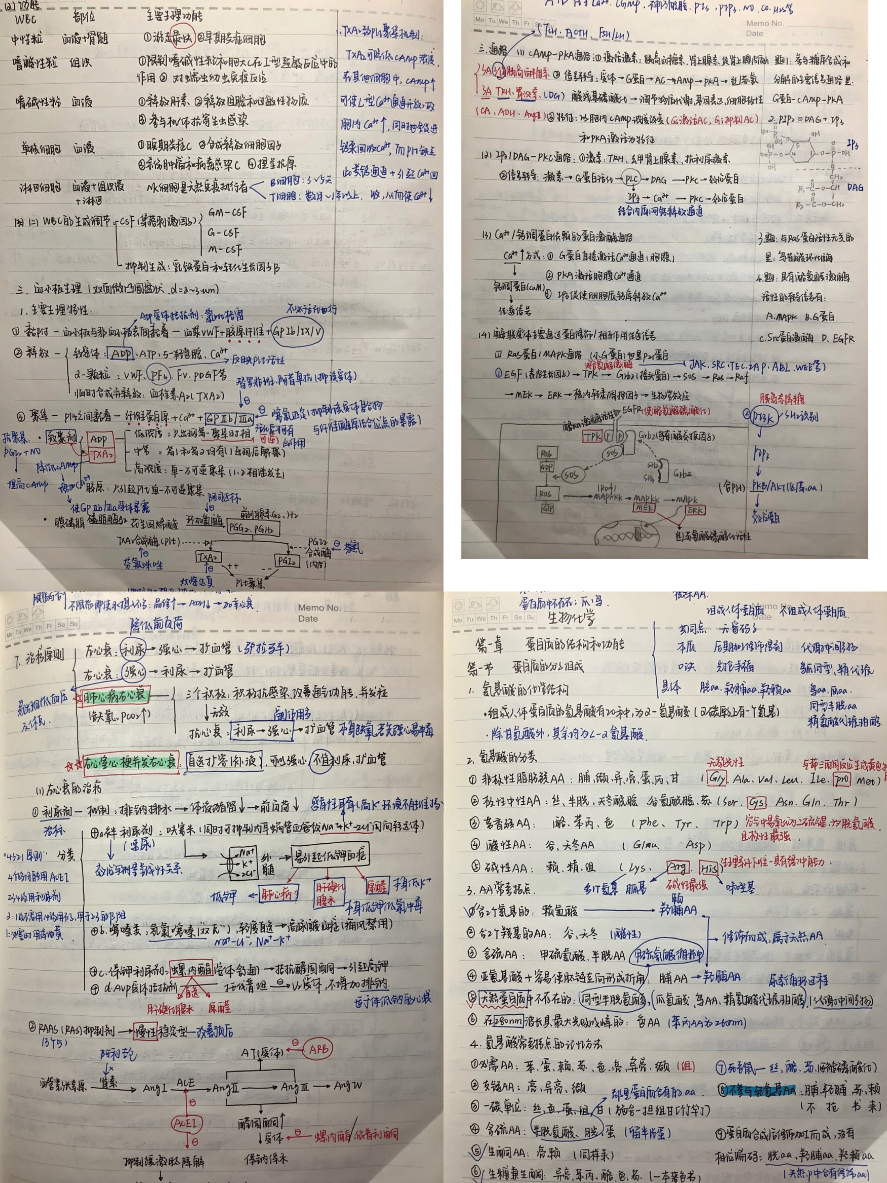 与榜样同行:2022年考研学子之最美笔记(三)