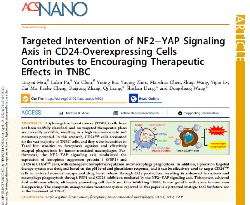 我校乳腺癌发病机制及转化治疗研究团队在《ACS NANO》发表原创性研究论文，实现三阴性乳腺癌精准靶向治疗新突破