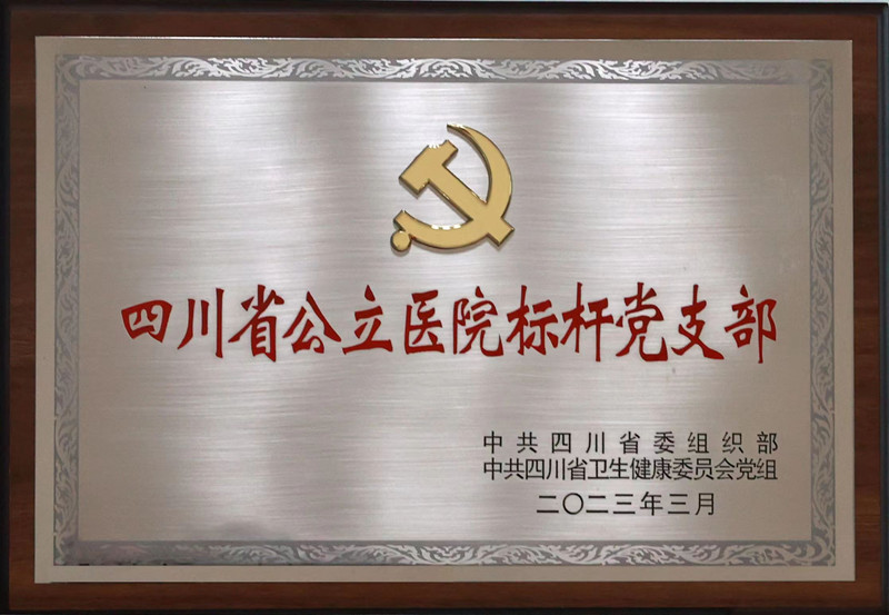 川北医学院临床医学院·附属医院门诊部党支部荣获2022年四川省公立医院“标杆党支部”称号