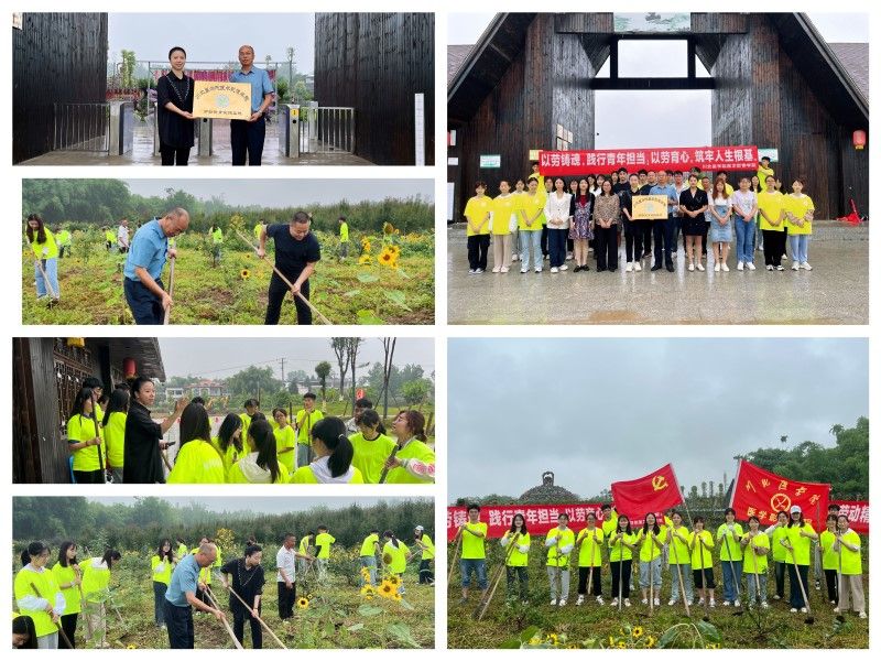 医学影像学院开展校外劳动实践教育基地挂牌仪式暨劳动实践教育主题活动