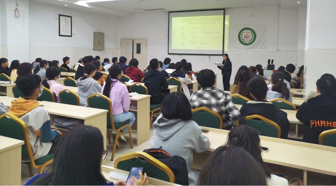 口腔医学系党总支组织开展文献阅读分析培训会