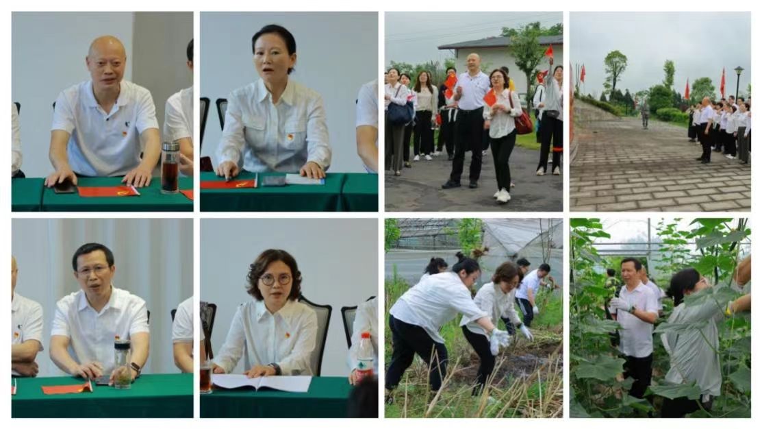 学思践悟砺初心 凝心聚力担使命