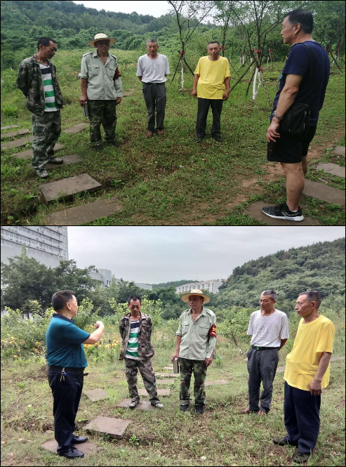 松林山安全教育