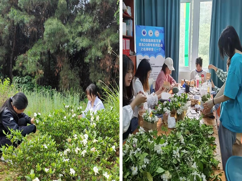 中西医临床医学系开展“护佑健康，点赞最美防控劳动者”献花活动