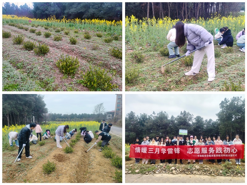 中西医结合临床医学院举行学雷锋志愿服务月启动仪式暨芳草园开园仪式