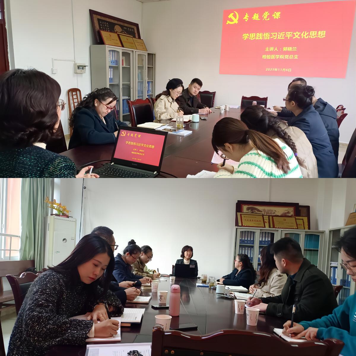 检验医学院党总支“学思想·检医心”讲堂： “学习习近平文化思想”专题系列党课成功举行