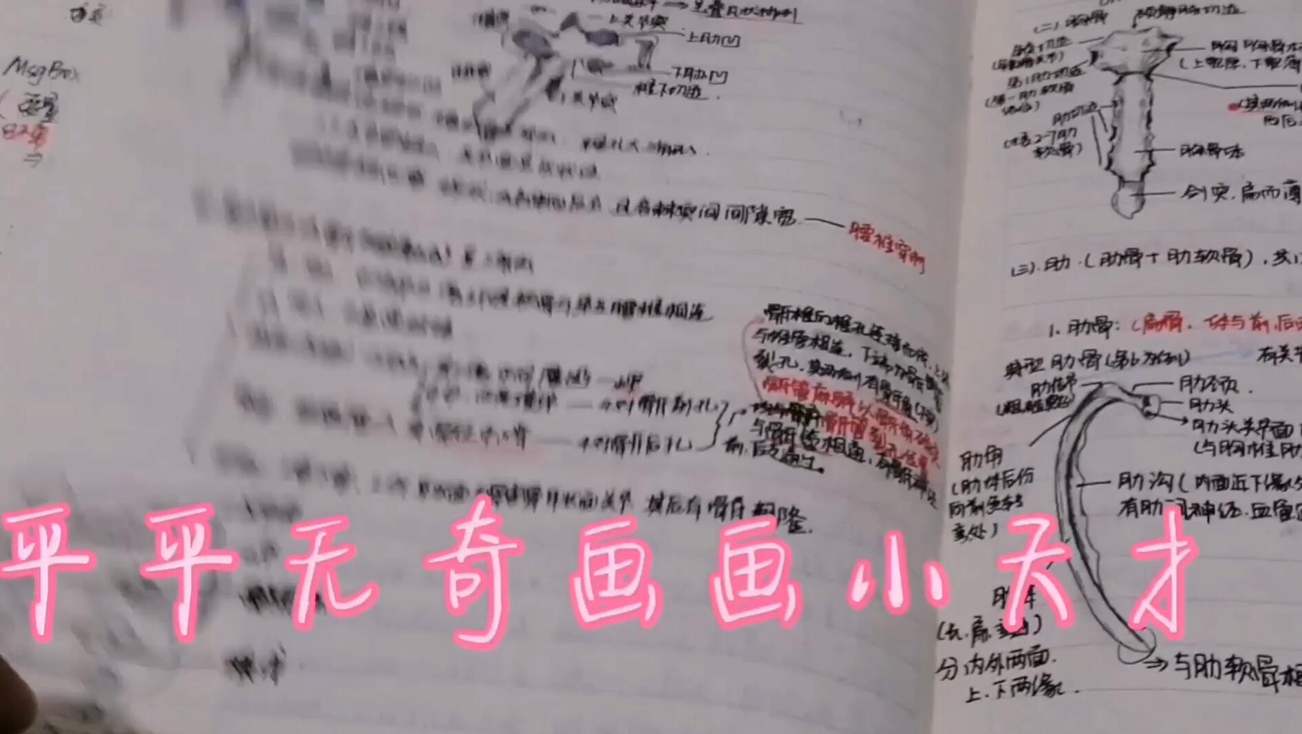 预防医学系举办“我的战疫生活”Vlog短视频大赛