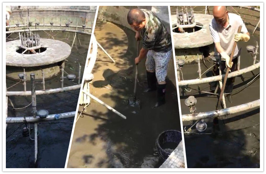 战高温顶烈日  打造美丽校园