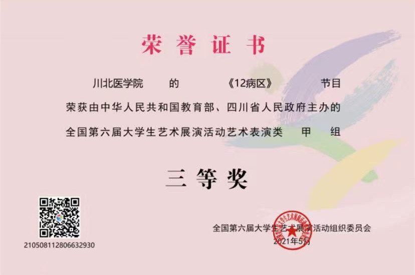 喜讯！我校在全国第六届大学生艺术展演活动中荣获三等奖