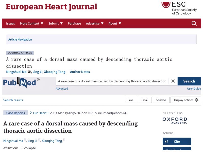 喜讯 医学影像学院教师在 国际顶级学术期刊发表高水平论文