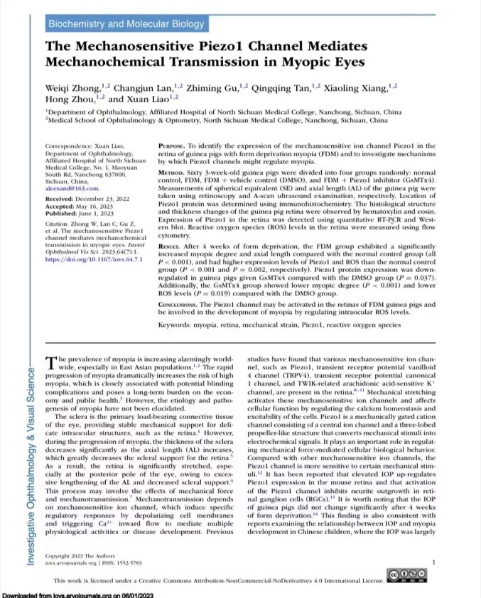 眼视光医学院廖萱教授团队在IOVS发表封面文章