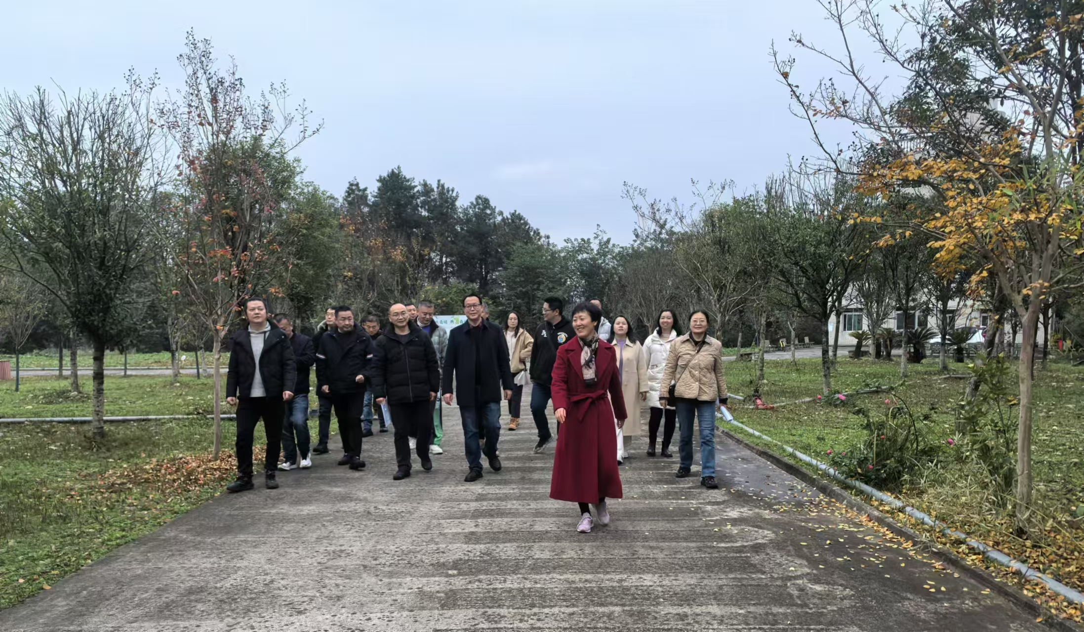 保障工会开展松林山健步走游园活动