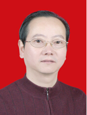 杨晓红教授