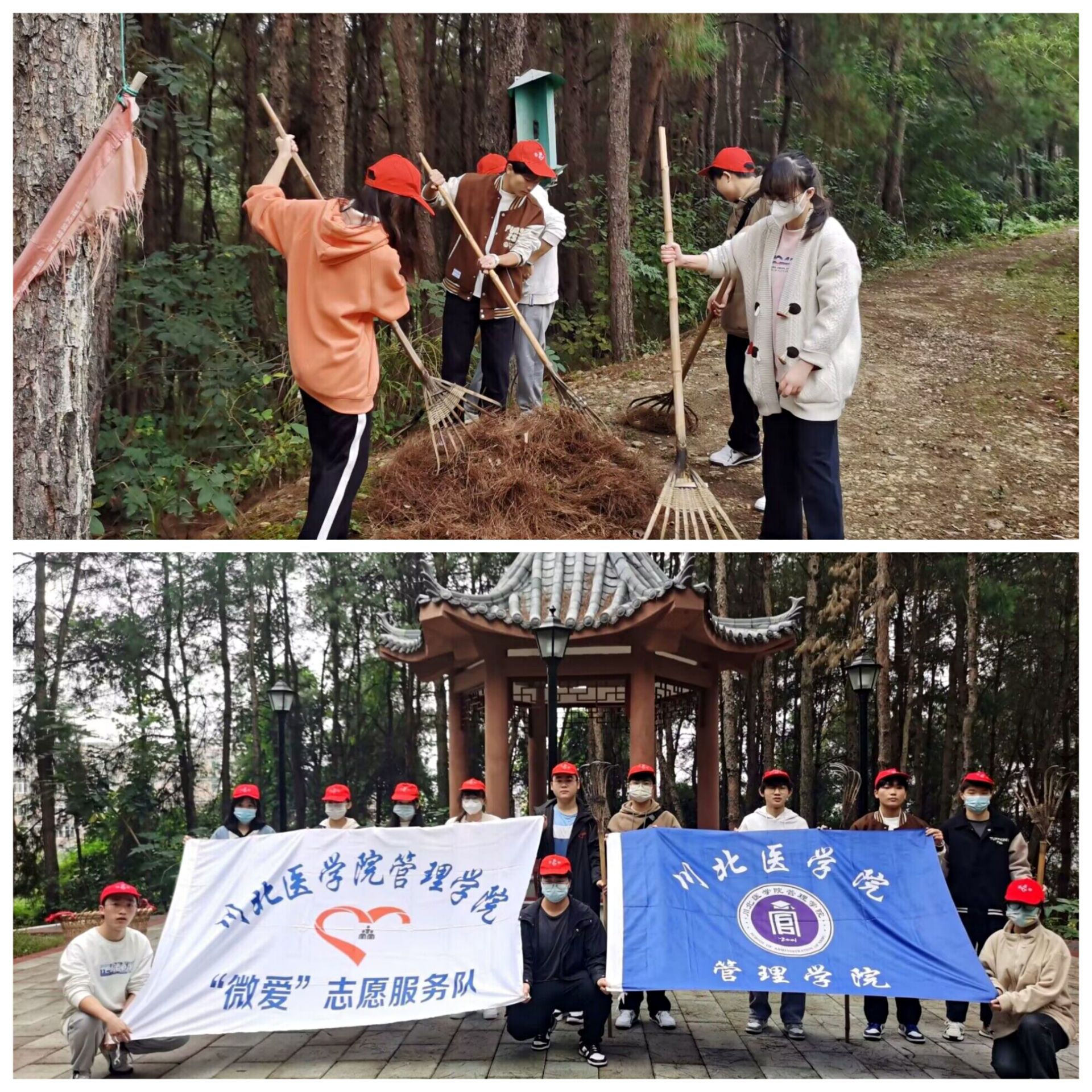金秋扶落叶,绿色爱山行 ——管理学院开展松林山爱卫主题志愿服务活动