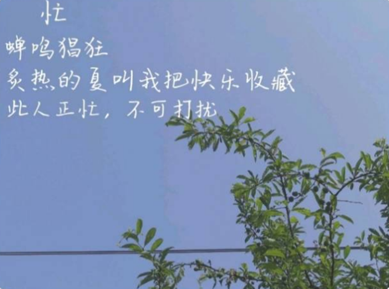 “用心抗疫、健康幸福”—— 我校2020年“5.25”大学生心理健康月系列活动圆满结束
