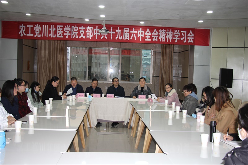 农工党学院支部召开中共十九届六中全会精神学习会