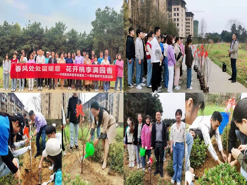 携手植树播希望，同心同德迎系庆----中西医临床医学系开展师生义务植树活动献礼建系二十周年
