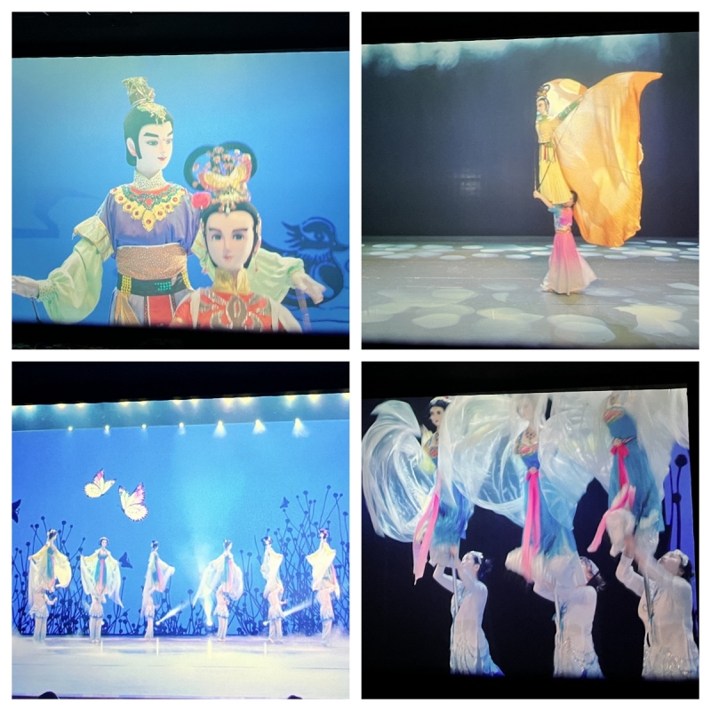 后勤管理处第一、二党支部参加教辅保障系统党委观影《因你而动》主题党日活动