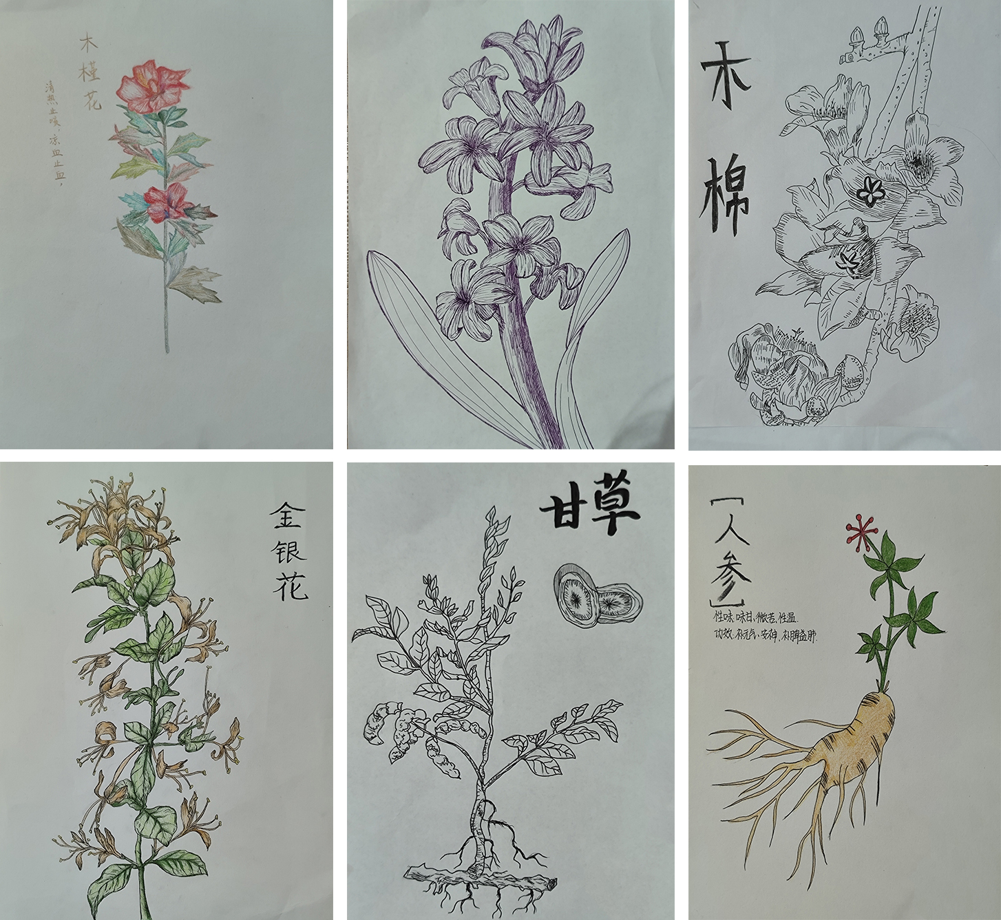 药学院举办中草药手工活动