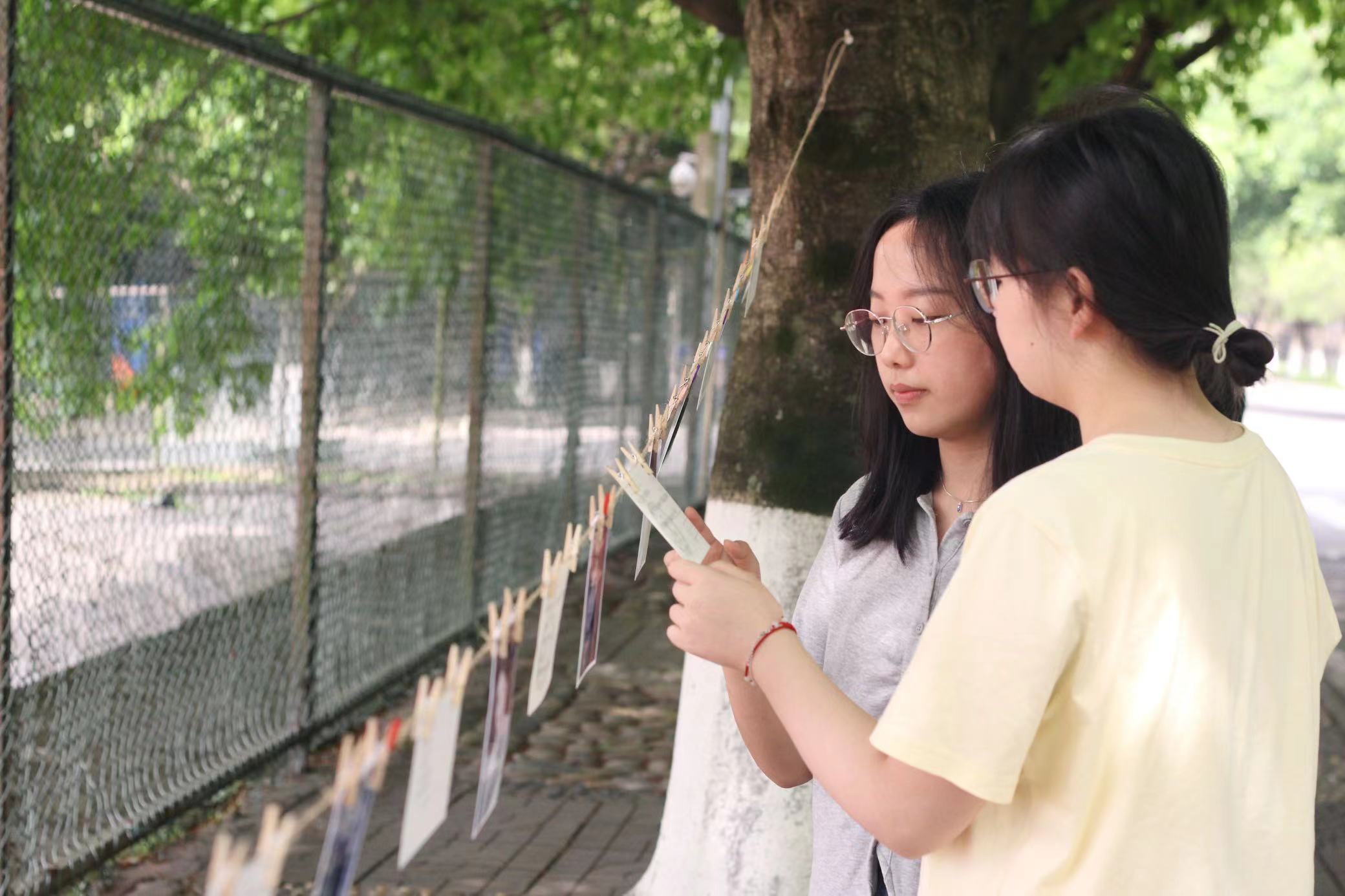 以爱之名，致敬母亲