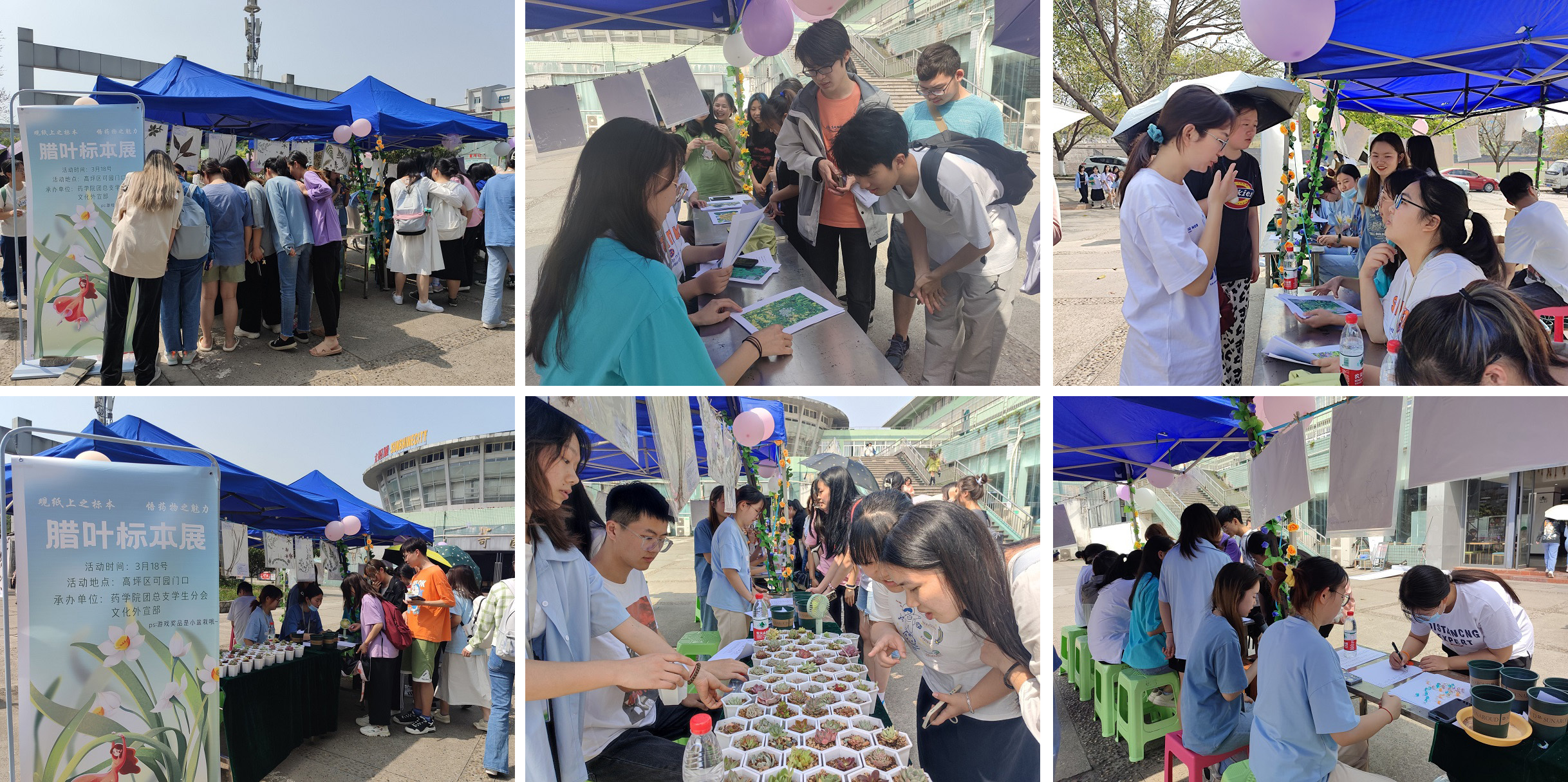 药学院第二届“腊叶标本展”活动圆满结束
