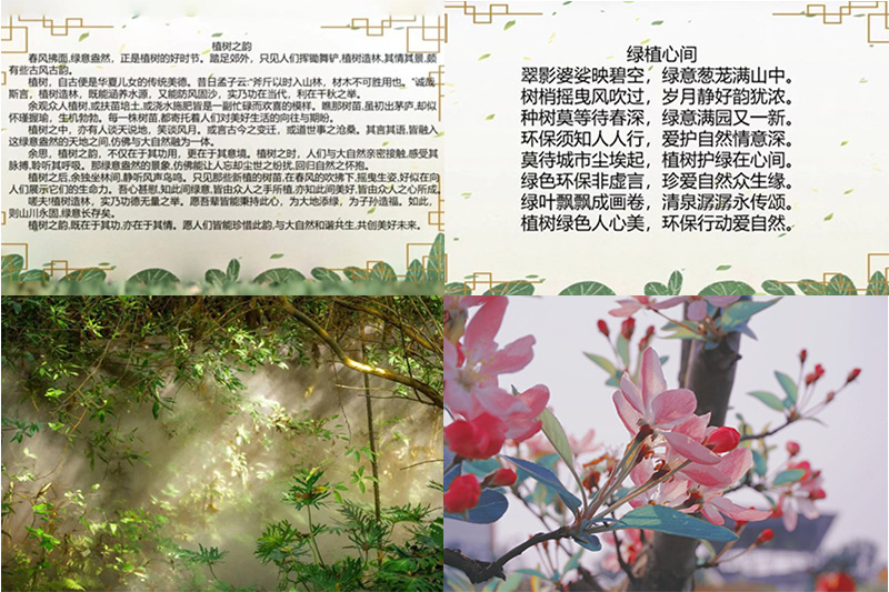 临床医学院学生工作党总支开展“植此青绿,生生不息”绿色环保作品线上征集活动