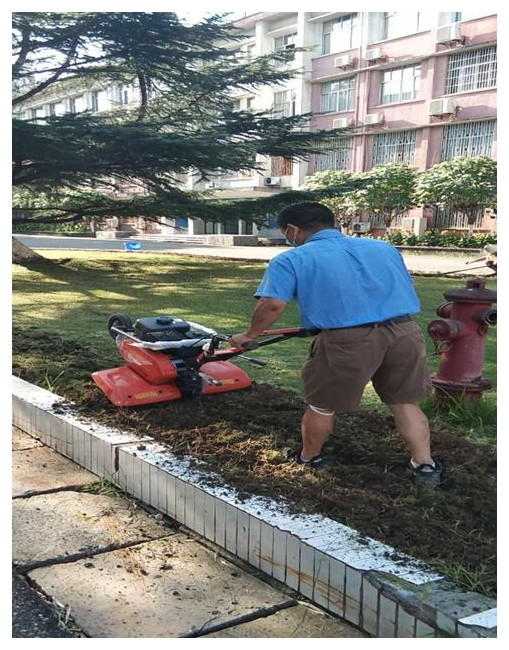 美丽校园的守护人