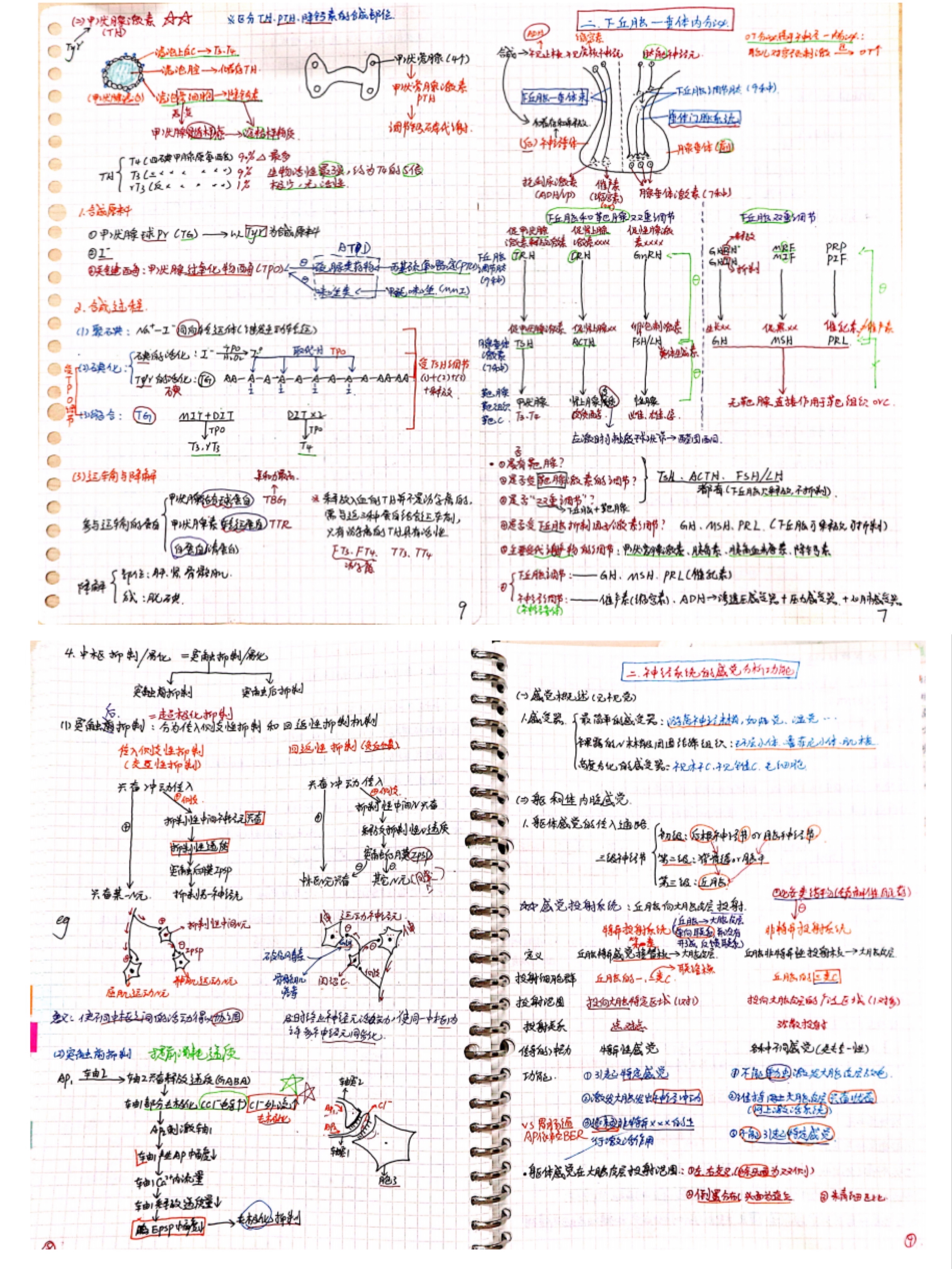 与榜样同行：2022年考研学子之最美笔记（三）
