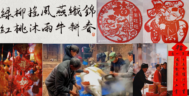 基础医学院开展“天南海北，共品年味”主题活动