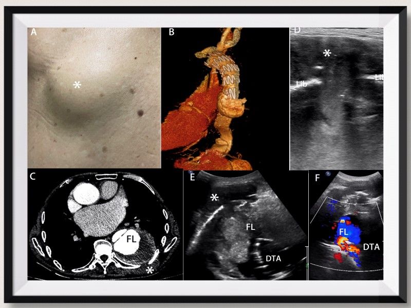 我校教师在国际顶级学术期刊发表高水平论文