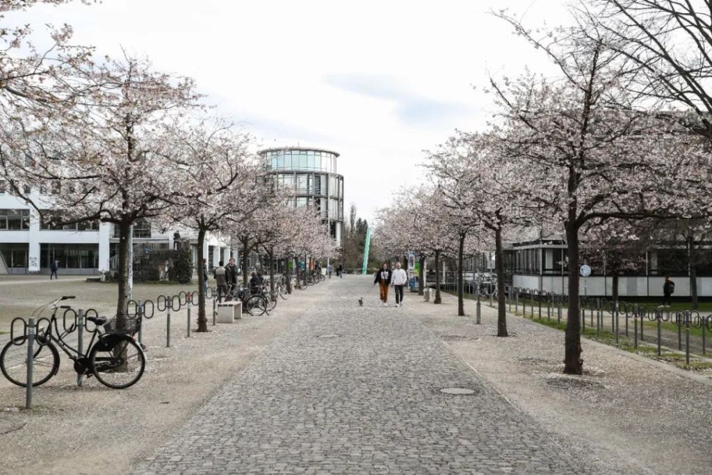 [档案记忆]中国元帅在德国小城