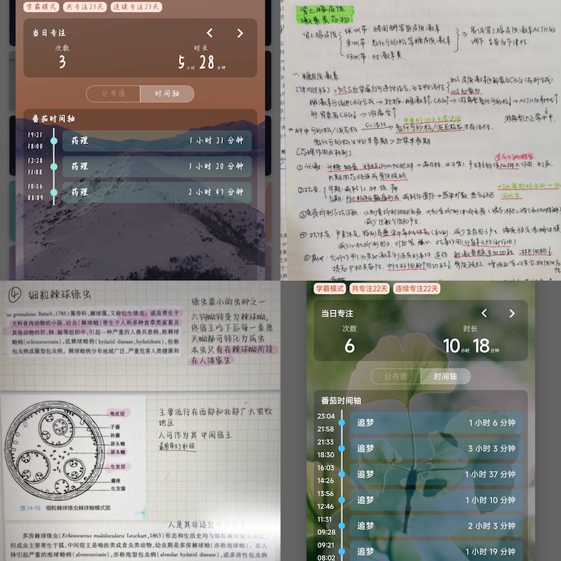 临床医学院学生工作党总支开展“学海无涯,笃行不怠”线上自习打卡活动