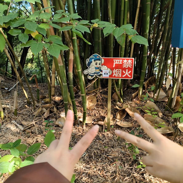 药学院开展“寻找美的角落”NSMC Campus Walk主题活动