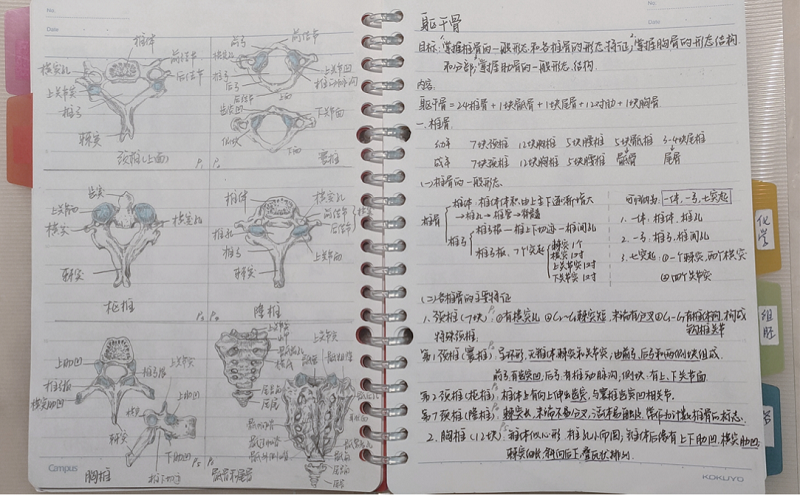口腔医学系举办“建优良学风，树学习榜样”优秀笔记分享比赛
