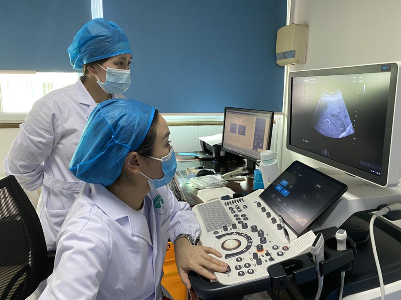 博士夫妻下基层，齐为群众办实事