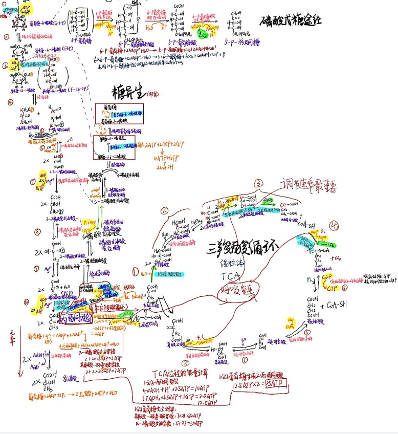 与榜样同行:2022年考研学子之最美笔记(一)