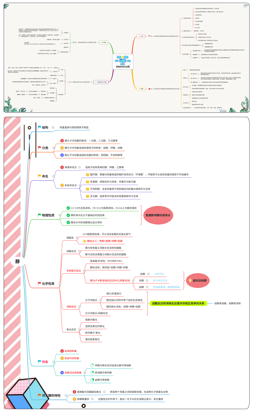 药学院举办思维导图大赛