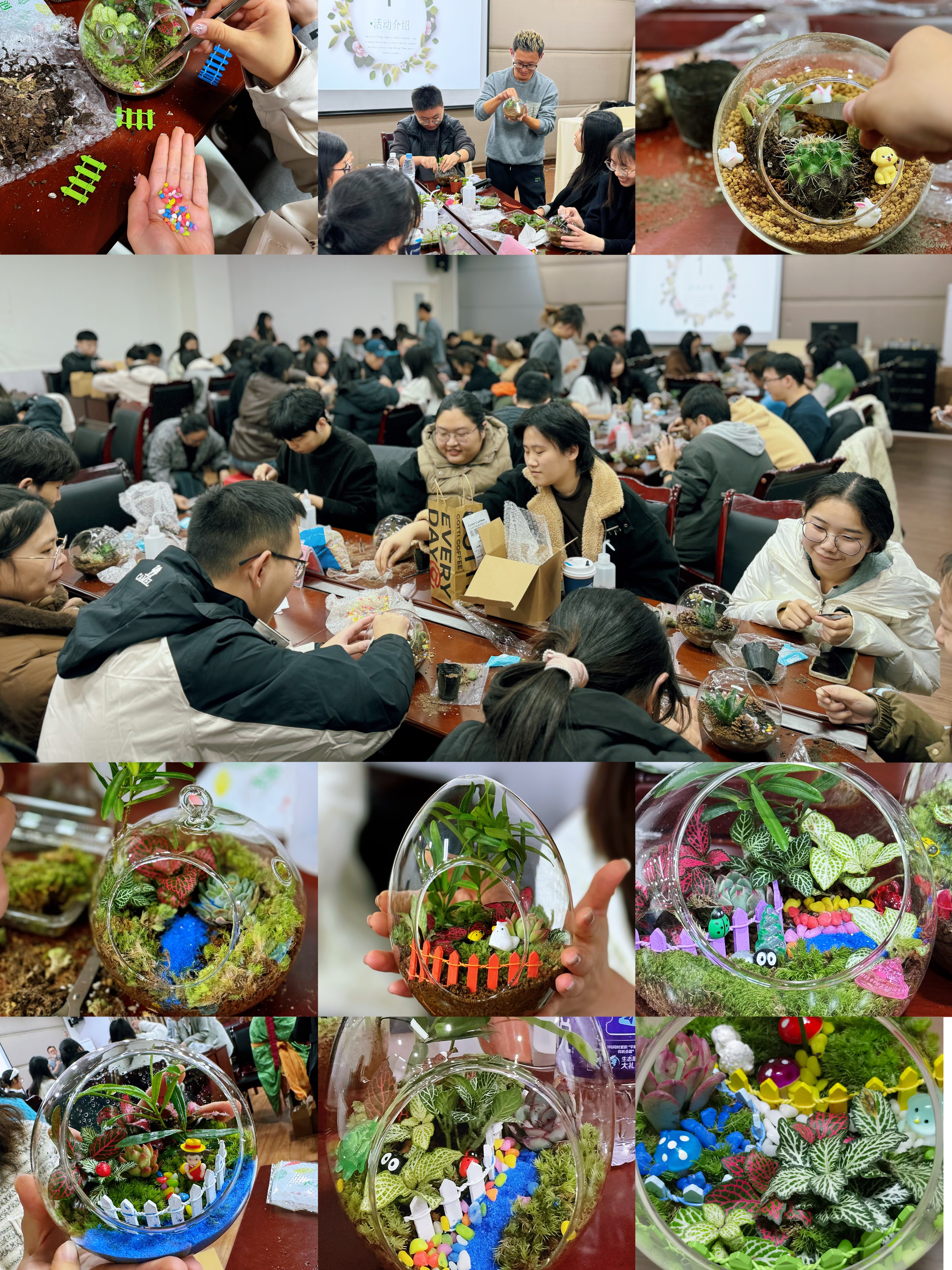 基础医学与法医学院研究生微景观创意制作活动圆满落幕