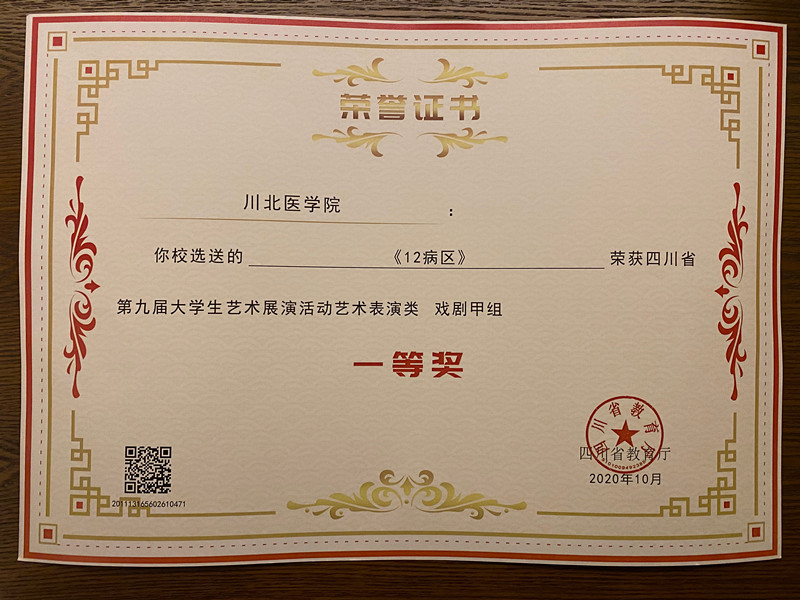 我校在四川省第九届大学生艺术节中荣获佳绩