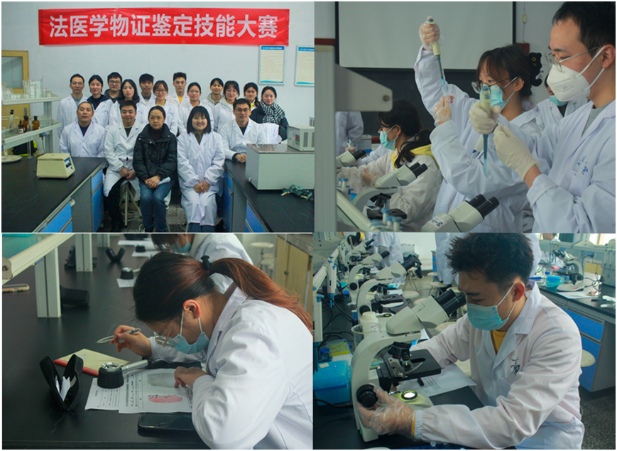 基础医学与法医学院成功举办第三届法医学物证鉴定技能大赛