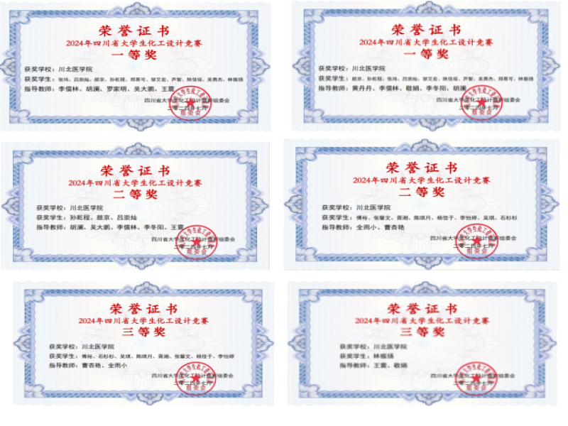 我校在2024年四川省大学生化工设计竞赛中斩获佳绩