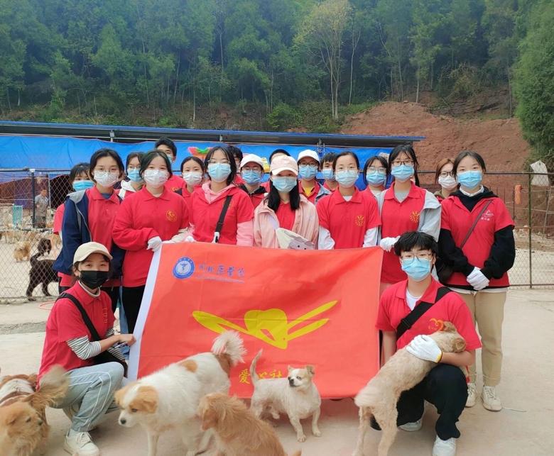 【爱心社】以爱温暖,流浪不再