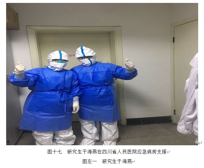 众志成城齐奋战,护理学院研究生师生抗疫在行动