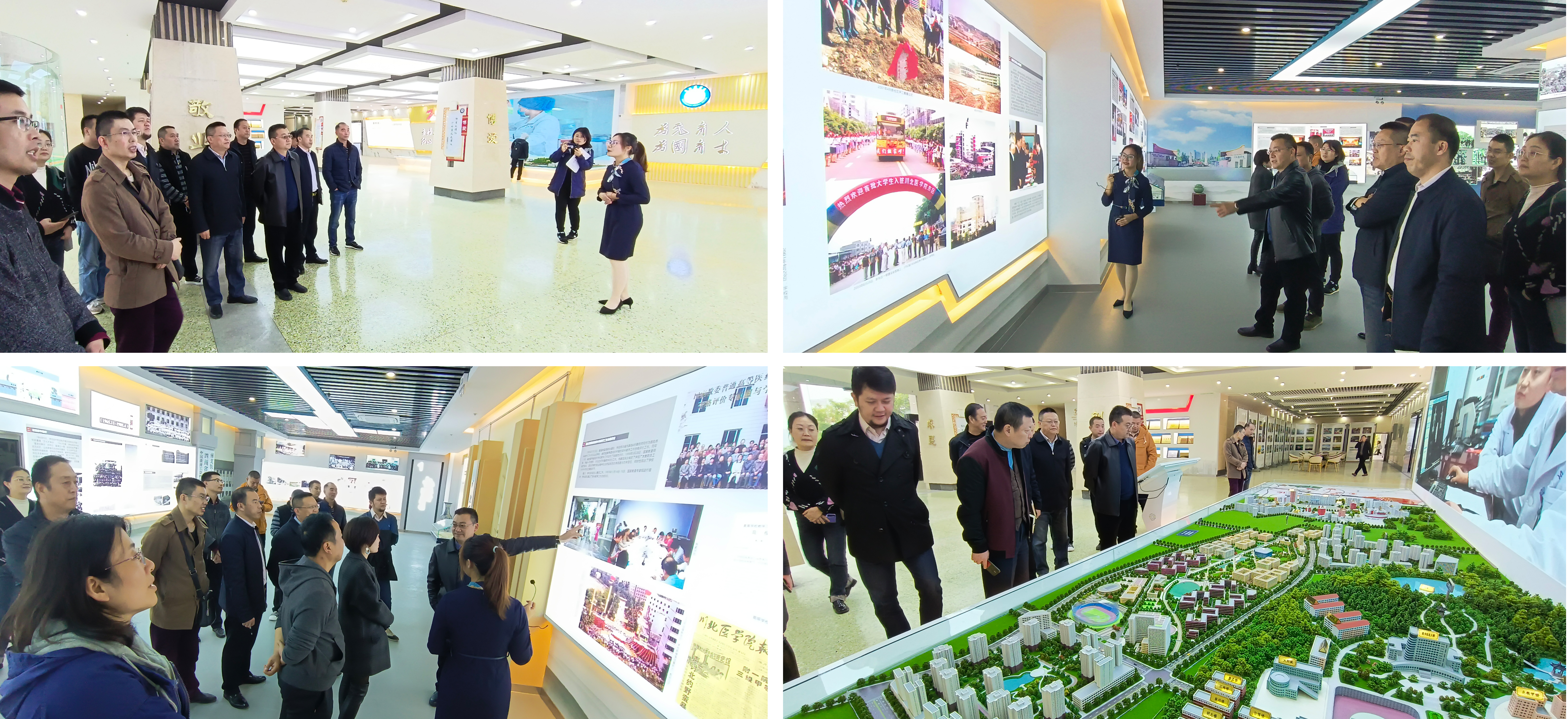 机关三党总支开展党史学习教育专题活动