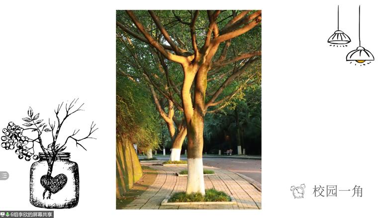 【摄影爱好者协会】“活力川北医-献礼川北医70周年”摄影大赛