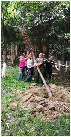 为教职工排忧解难，保障电梯顺利安装