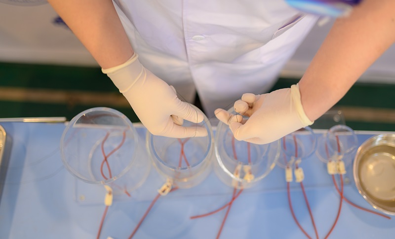 【精彩瞬间】川北医学院第八届临床技能竞赛