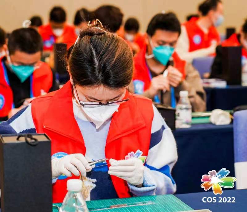 我校口腔师生参加第21次全国口腔正畸学术会议并获得佳绩