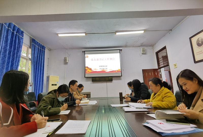 护理学院党委召开党支部书记工作例会